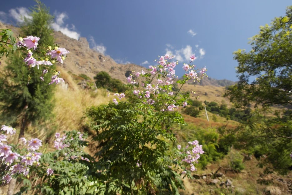 SAM_0399.JPG?type=w1