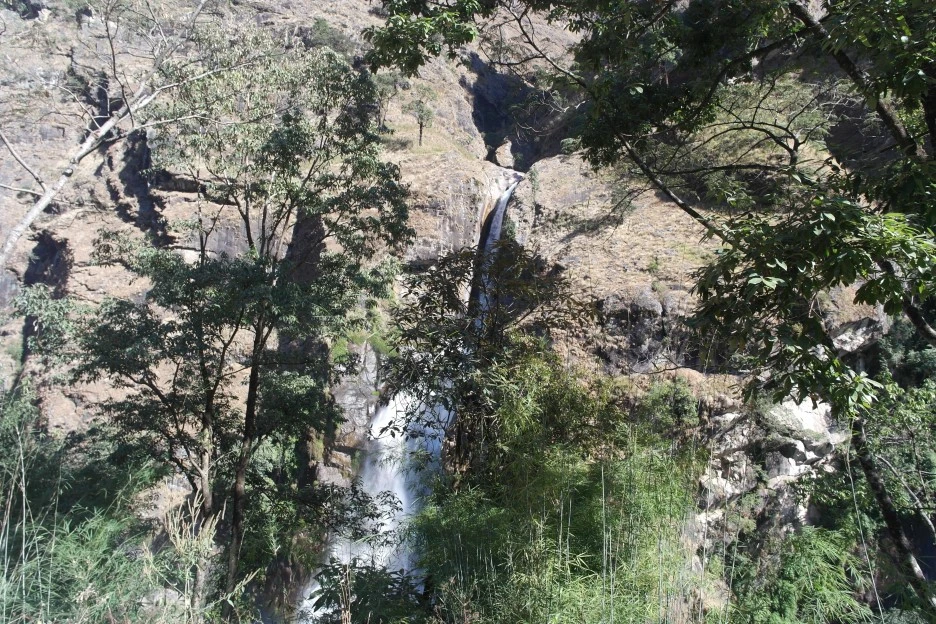 SAM_0383.JPG?type=w1