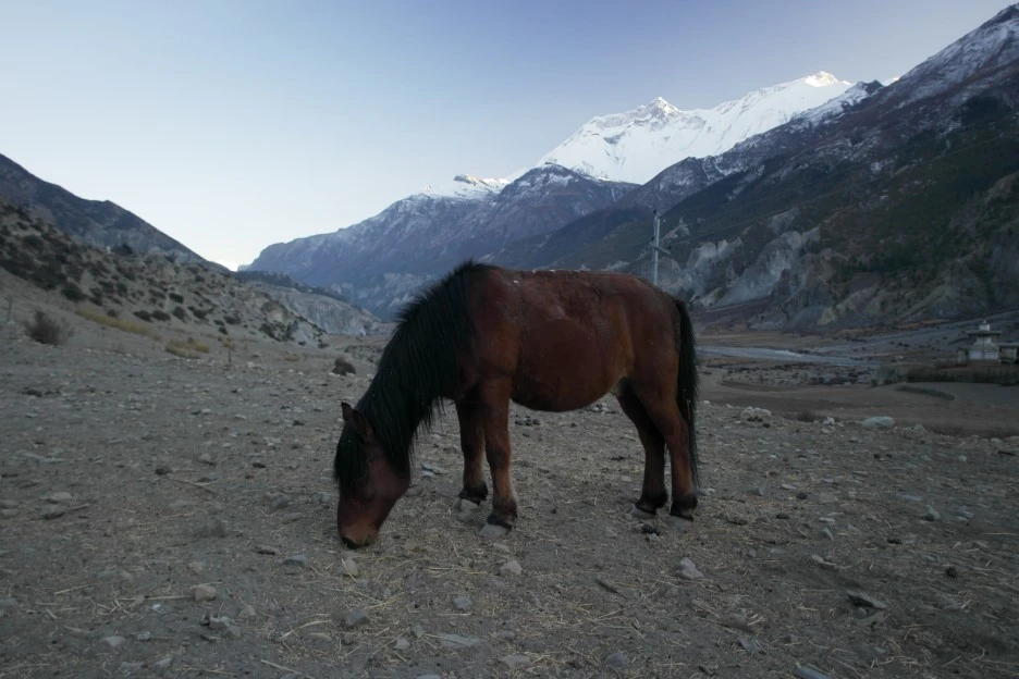 SAM_0691.JPG?type=w1