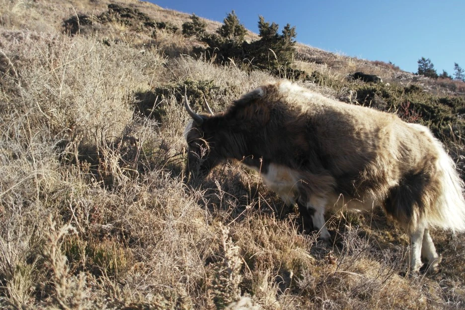 SAM_0810.JPG?type=w1