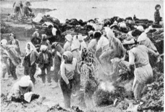 해녀촌 사진.PNG