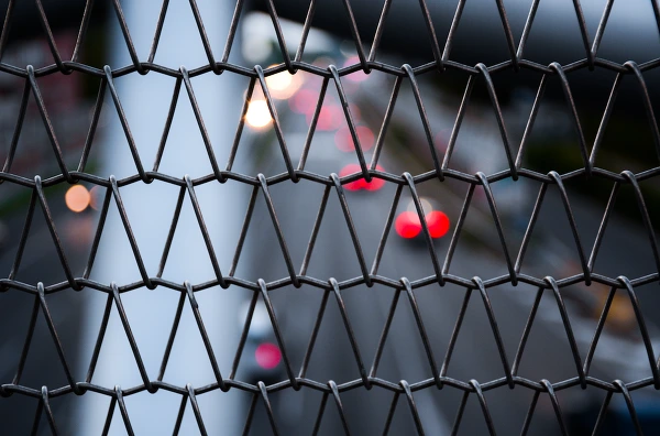 99C080395A88D22F0F2F99