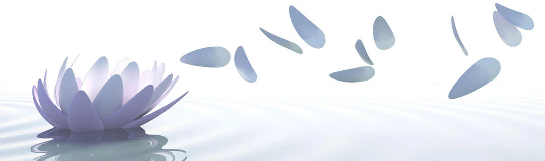 99EDED33598ACF053749A6