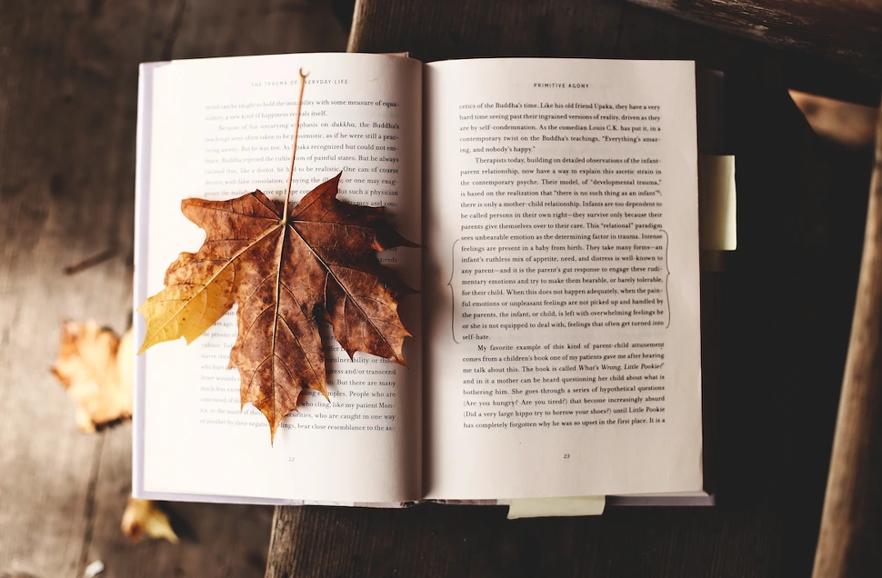 99A3753B5AA7C1F120F76B