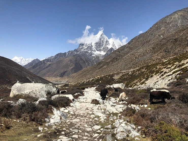 1_%282%29.JPG?type=w740