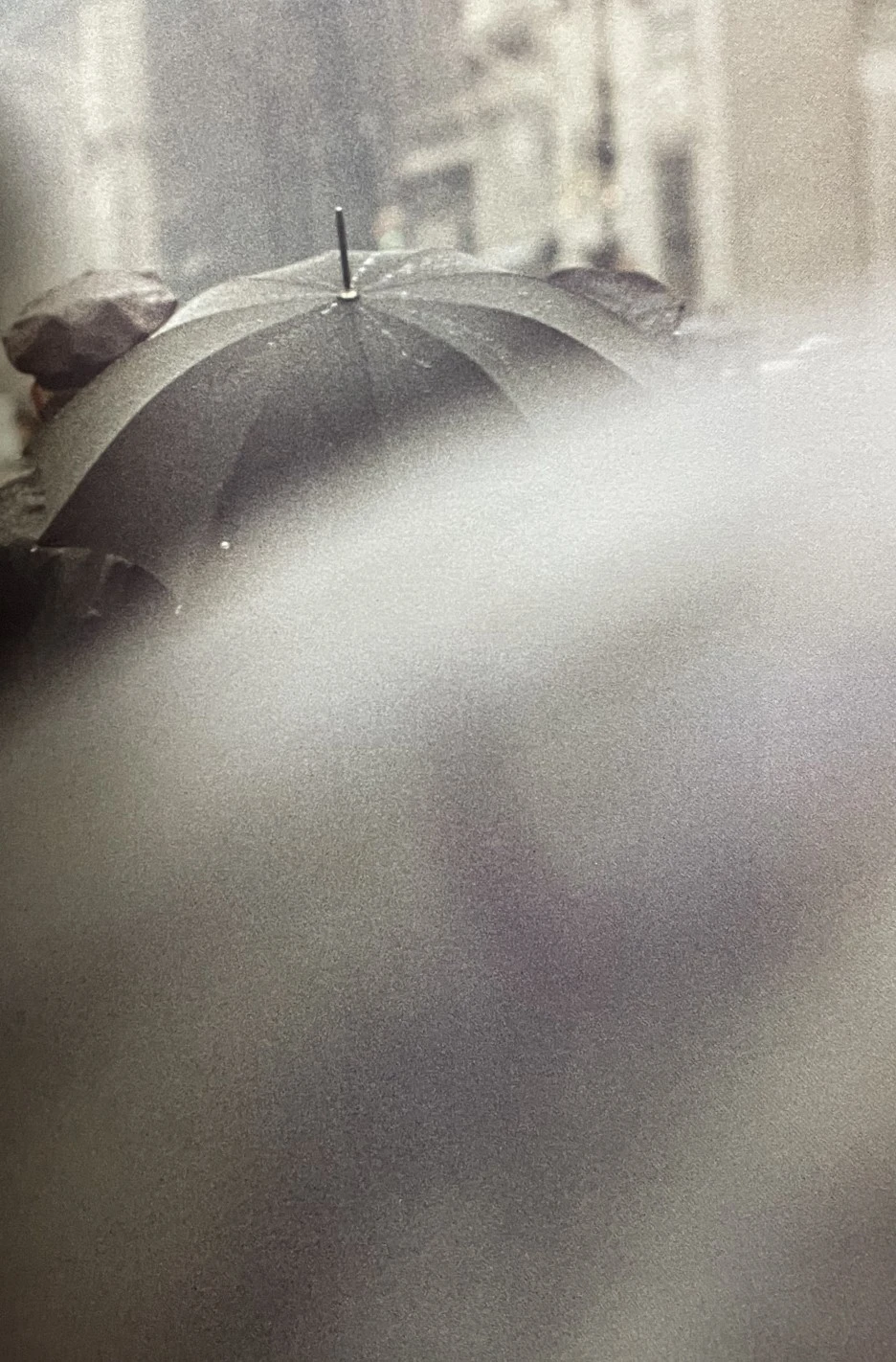 IMG_5865.jpg?type=w1