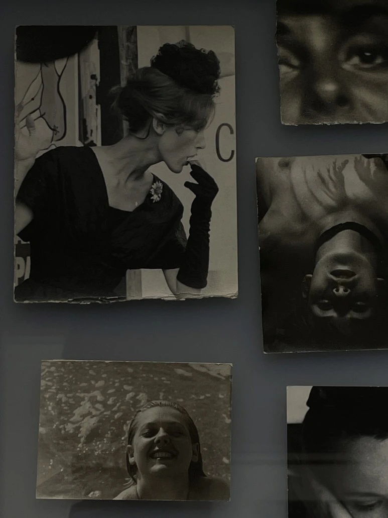 IMG_5290.JPG?type=w773