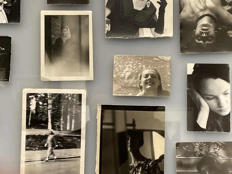 IMG_5306.JPG?type=w773