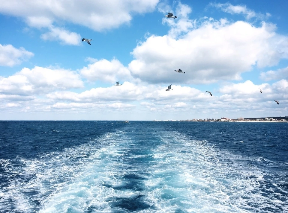 다방 여름휴가 사진 공모존_우도의 바다.jpeg