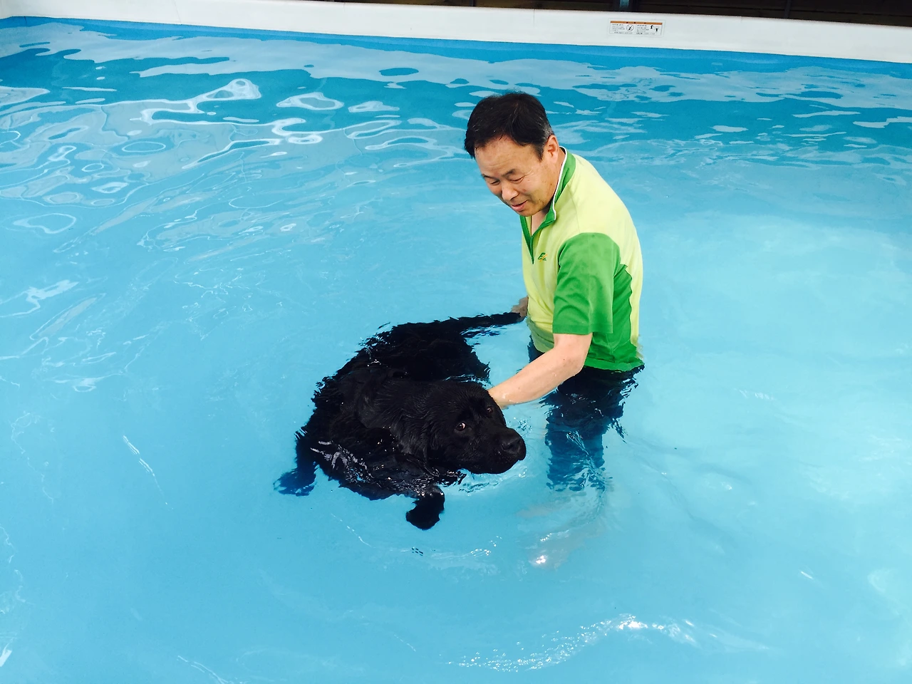 로코 수영.jpeg