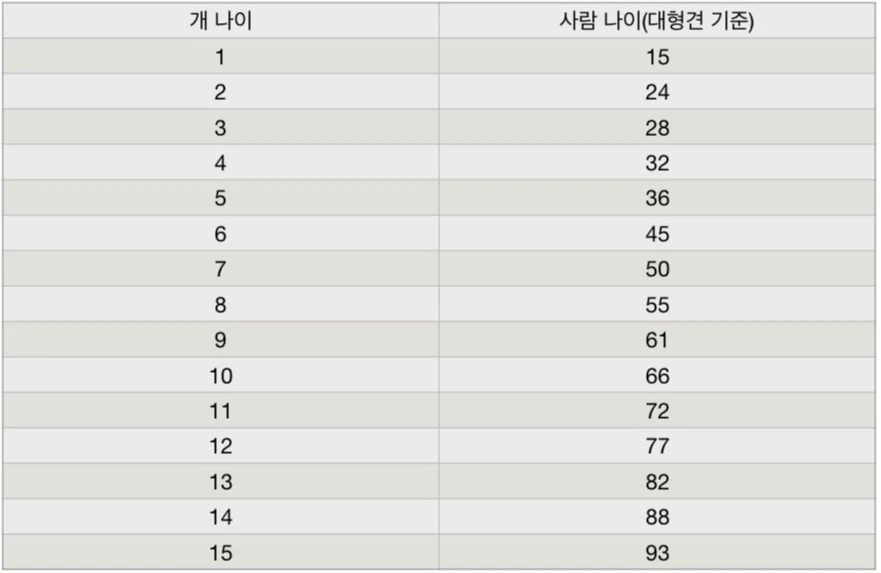 개&사람 나이.jpeg