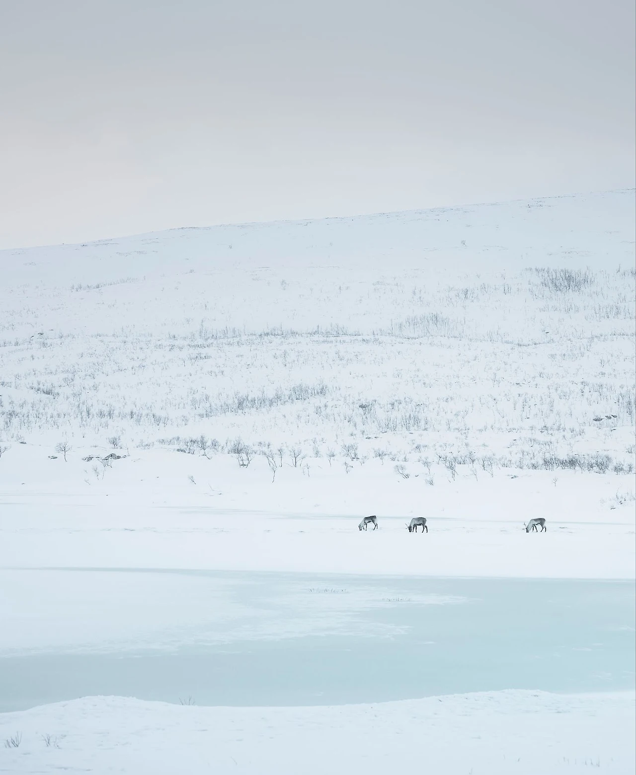 EbsEH32xJGuoVqsrt9YDB46wPNd90NZb_IlSswJngAo92lugsGGtapk2p-NBVQp8Y6Jdu82lHxgrEBp73bGab3BeVNvEwPRdhnIFAQXhNhypjdacsl8jHHDtpMJJvoS43wywrHN6HxT6caoisupKYgE