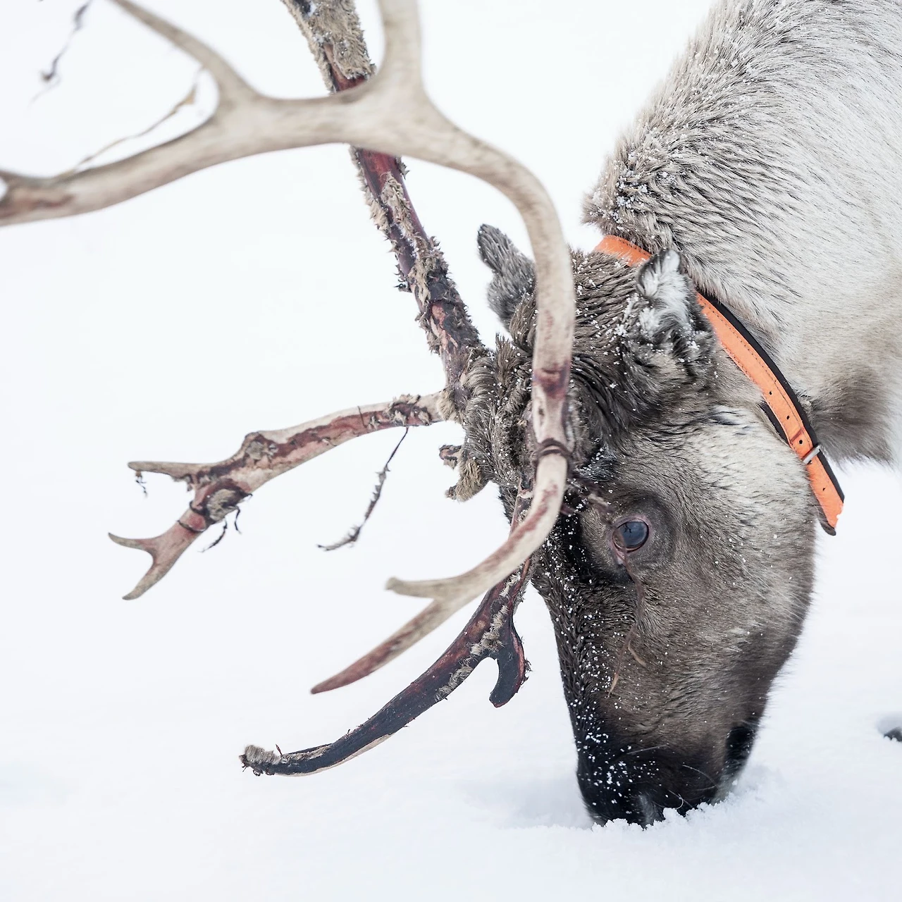 LOWuV9RXNEVeYUaNkvj6yJUuxqsaZnHwCTo7MowAVCsnDI4UMWlZsvk4rZHo5obs3f6GE-2AXjnKwJ4eX1a32GguL4QKG1IYgFF8w1L9gPhq5wpLmPke5njpj6s7RP5aURGqvOCKIPQrRw2ho8Mv7xM