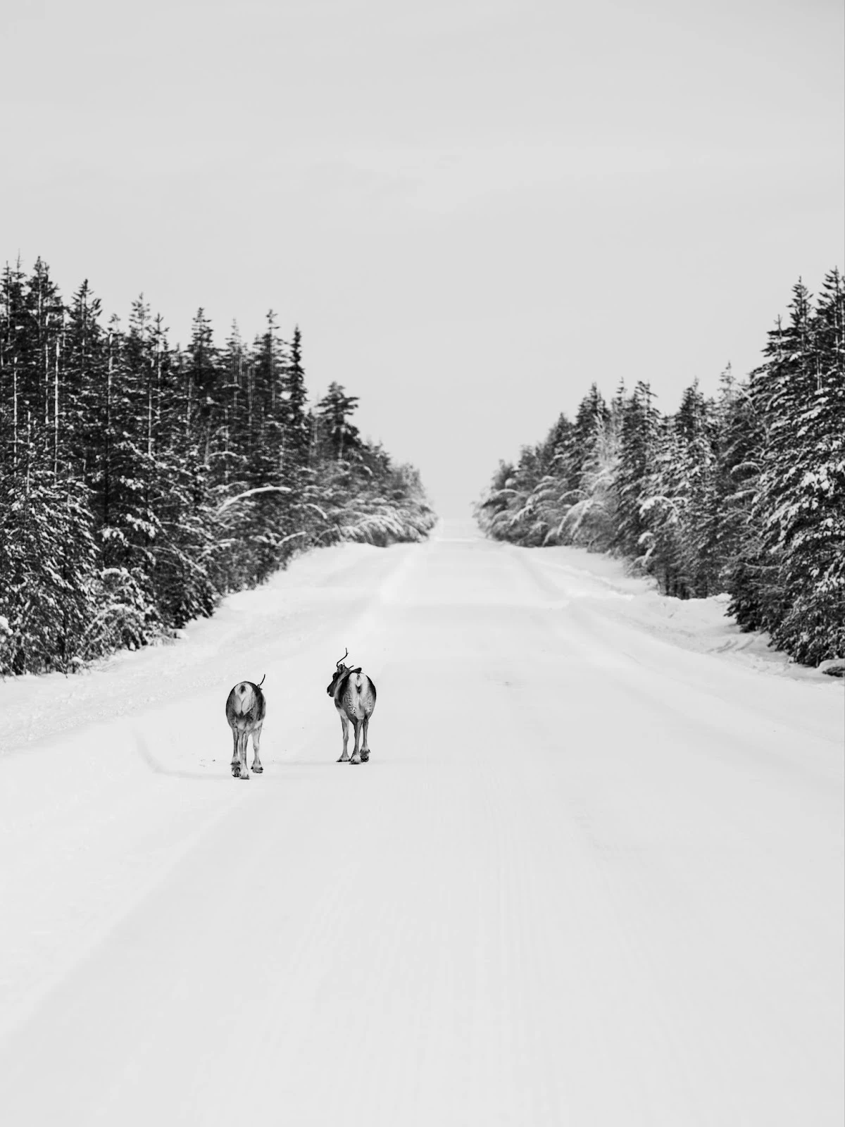 uVIT3CTUDbKhB6NQHpsbLWz-Ea7PRfzpEyc7R5Us12xYcQKSGIJhtJ1TvZCog7tUBW8voVZC16YUWlmeykPV6asY4HVjFAij8r13maN8E5feifxo1aO5mOx4lMoovmAwzKLmM-t5Eo4vMNZk5AslITM