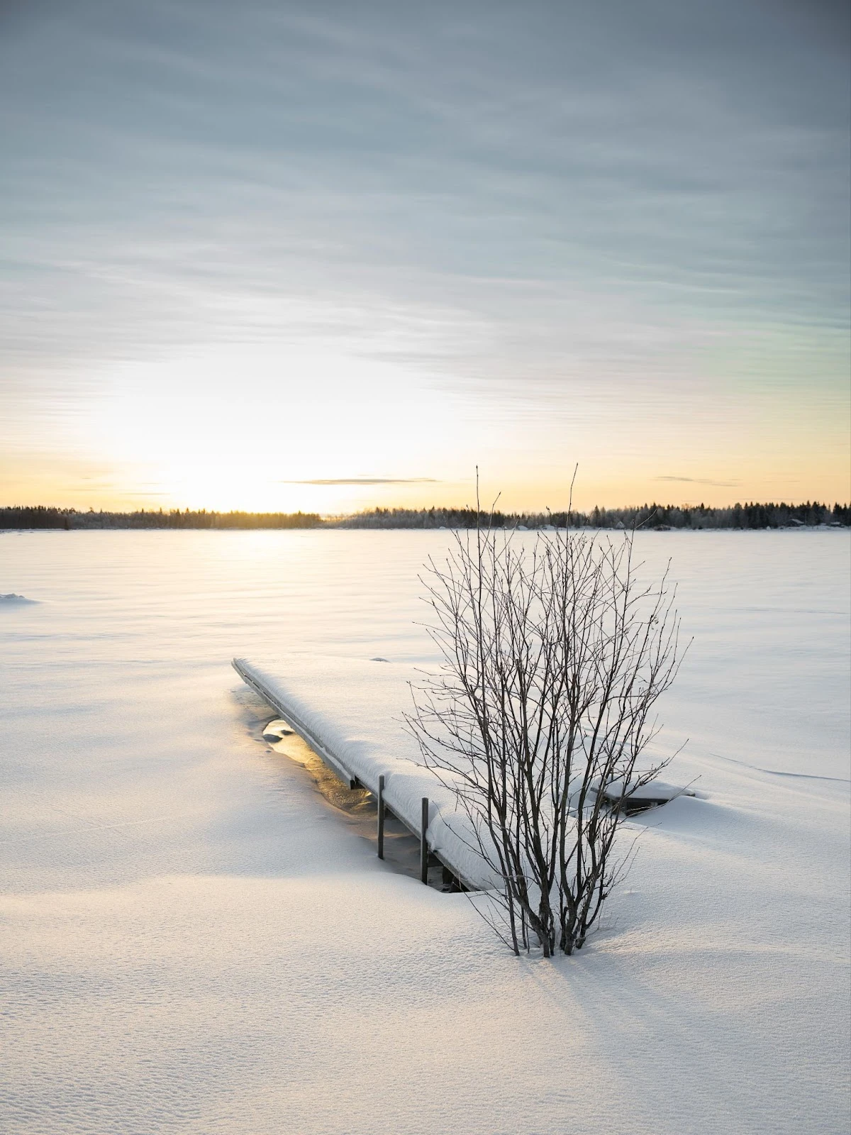 m-3EtdD9rFOS37Es7FmEehWQ-cUoE4bseQU2Q75ZaHzNjXq4uSbaRON7VIB36RXv26ef3WuzcR2yy6egx29bCaXw09XjrPpGoNhchtPbB3-XaJa8mQS-aIlQQMy8AesdP09ytPD45i1uN9VmSrpcqq0