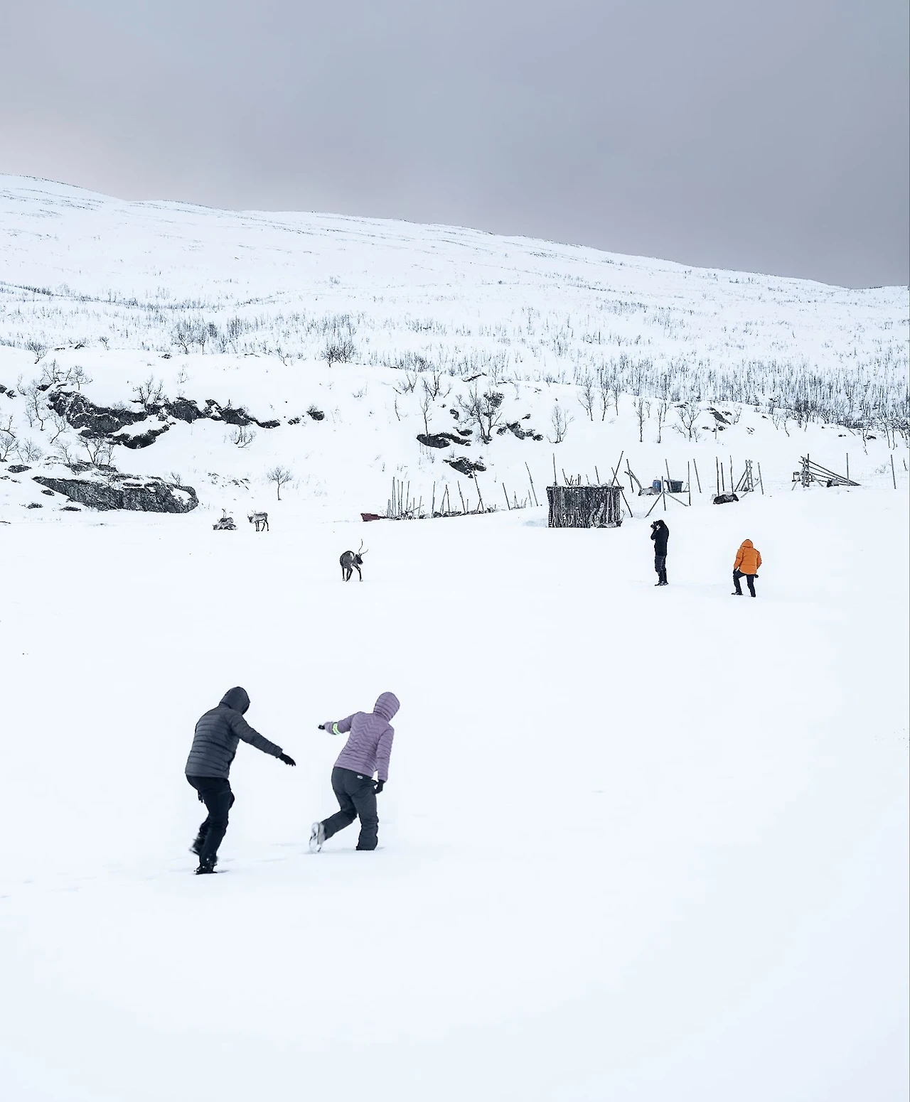 QqKOKO0YlUpiGhluC6oV9fSkxFYeC2KAV3ZGOk7w4i2Ce8ZRJbjApcWoy1cWPVKf4GzKfe2n4x4_0so4hp2TPE-j9e_3xnx6KFU1ztdHDHonZ0ExFEF1L5KIS69D9rr1pvQqqSMAE6s1LXWvdJMBUm8