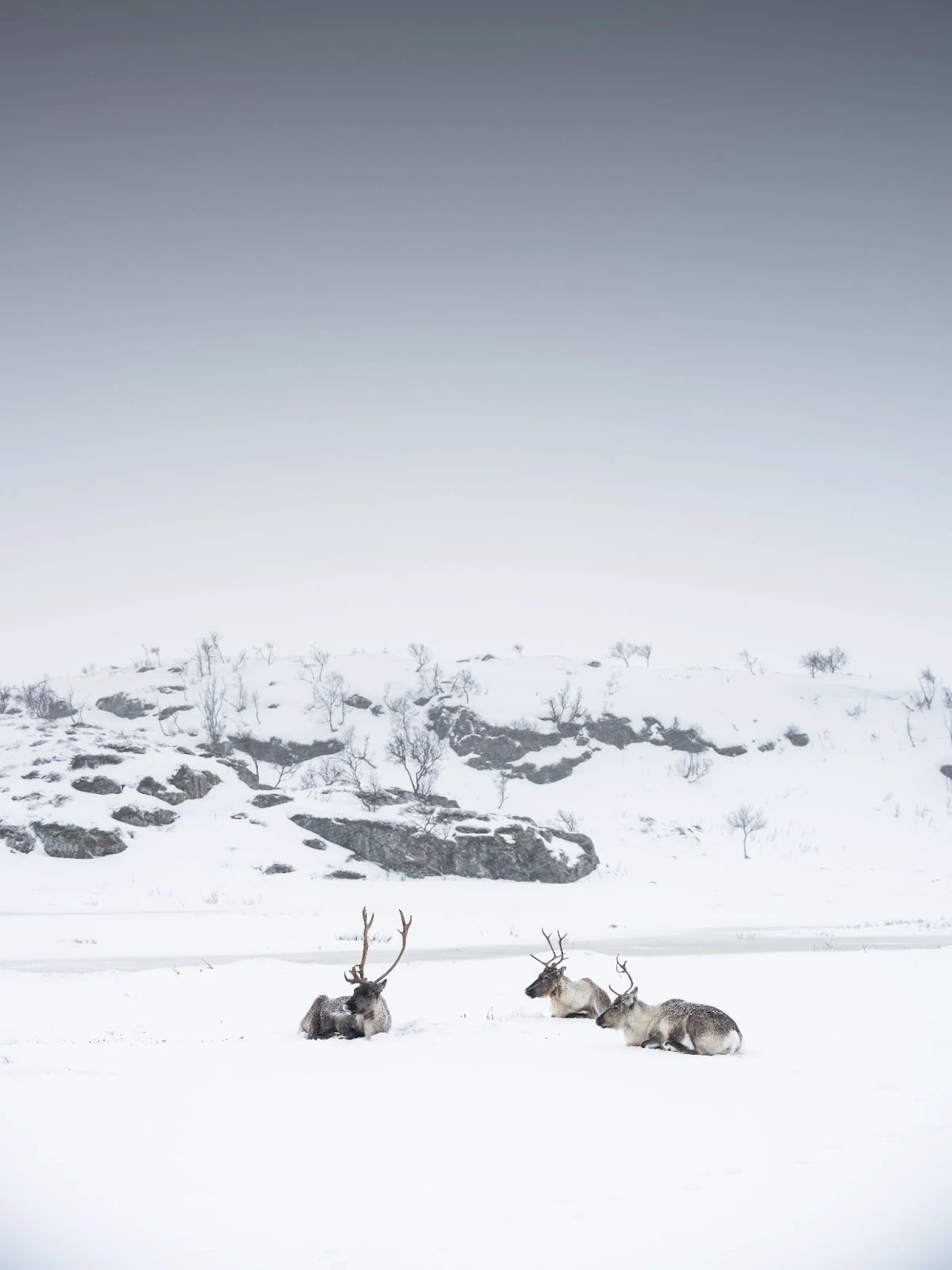 azIF5XMBJVJTGhoGz4Nb5Jr2FqVkbNCxIqMsvrMpQL2iQauxRNVtHeyAnc9lyNfD2KYUlYA8Pbgv-enGpgDTYxIIIpg9qor65N0amHi2EWiyJZUMscV8EGfB-iRXQGCmNbGMwHkeO4NXB619vR4V-oQ