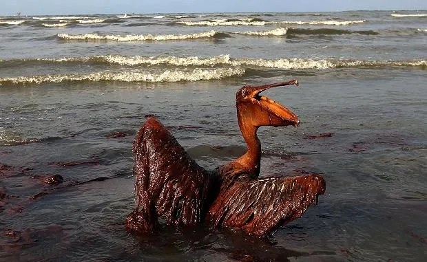 %EC%82%AC%EC%A7%841-3.jpg?type=w1