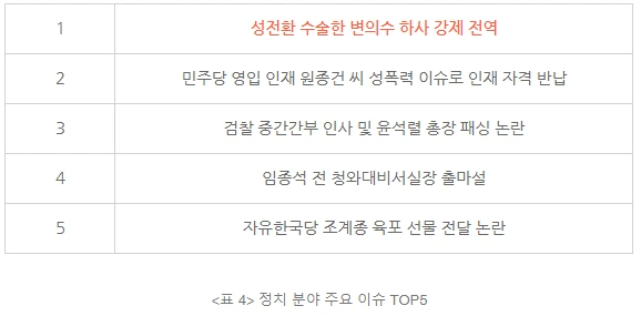 정치 분야 주요 이슈 TOP5.PNG