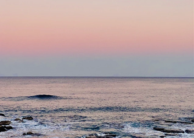 2020-05-31 10;21;09.PNG