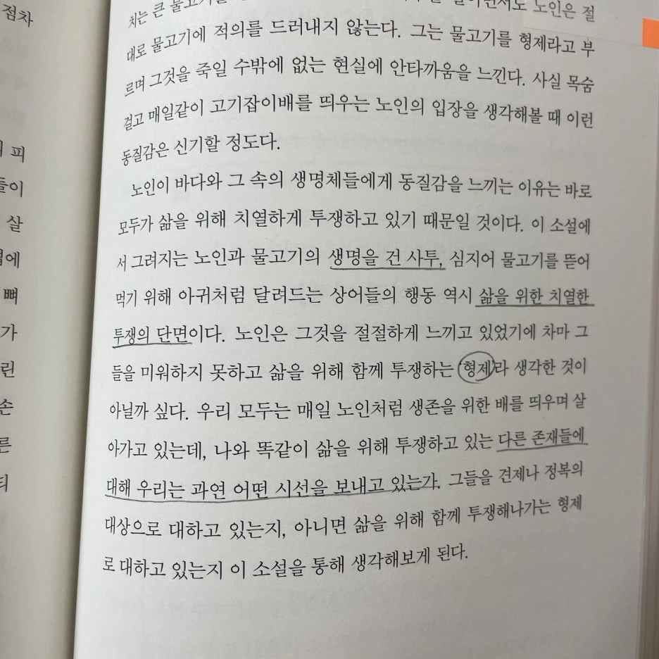 IMG_2983.jpg?type=w1