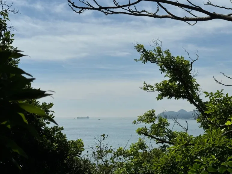 KakaoTalk_20240702_000334687_16.jpg?type=w773