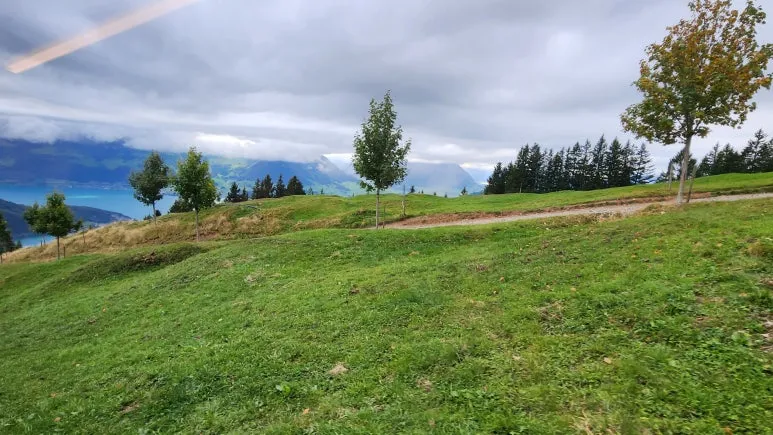 20231015_161724.jpg?type=w773