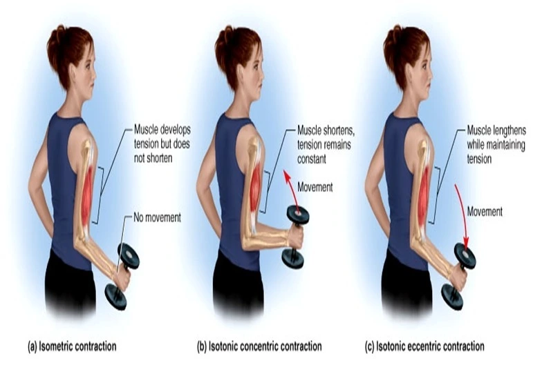 174B8B3D50732F9F2D0BB6