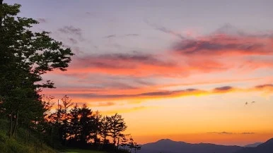 KakaoTalk_20230901_165712741_12.jpg?type=w386