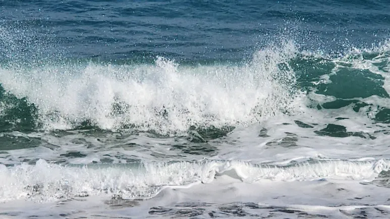 20230302_143959.jpg?type=w773