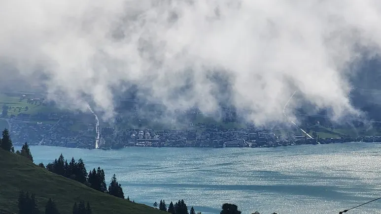 20231015_141654.jpg?type=w773