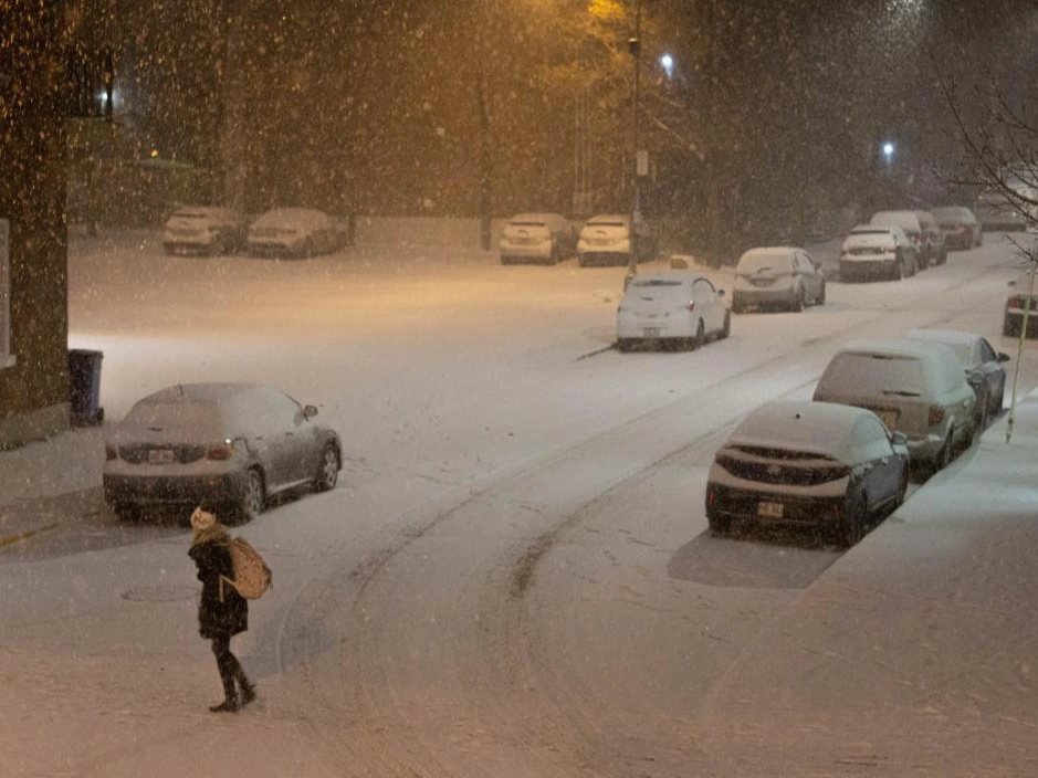 photo-1574134300166-dbb2bebcb3cc.jfif