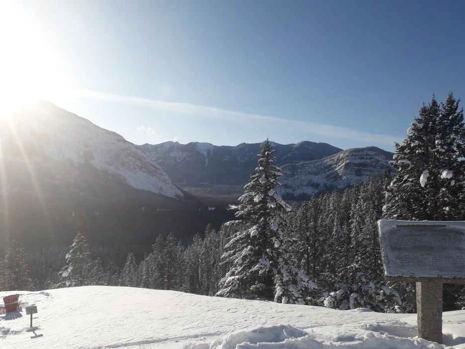 20191225_122306.jpg?type=w1