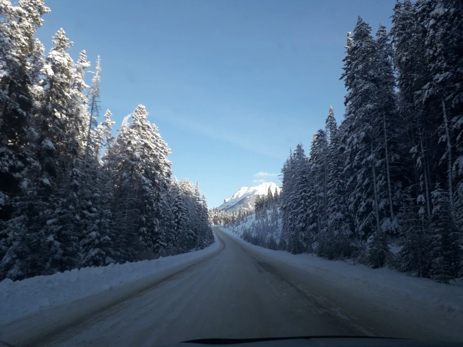 20191225_121005.jpg?type=w1