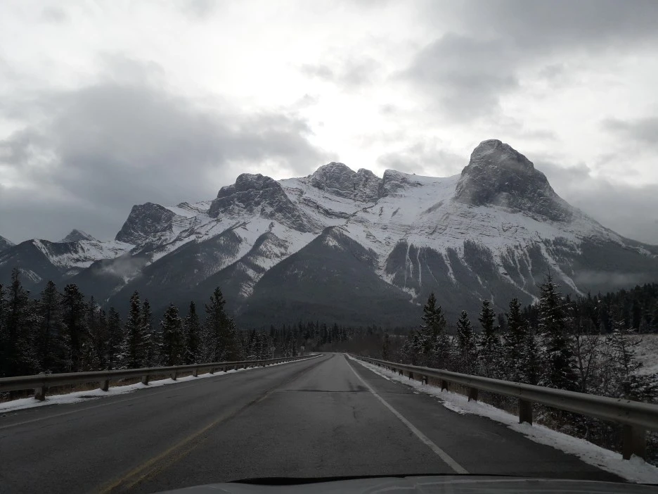 20191104_130733.jpg?type=w1