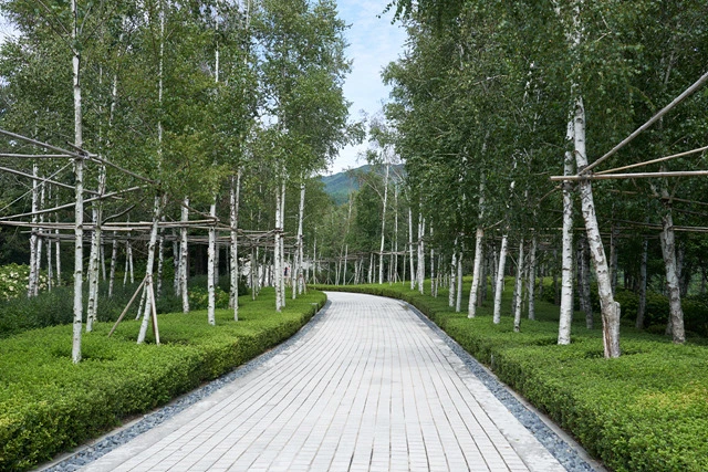 다운로드 (1).jpeg