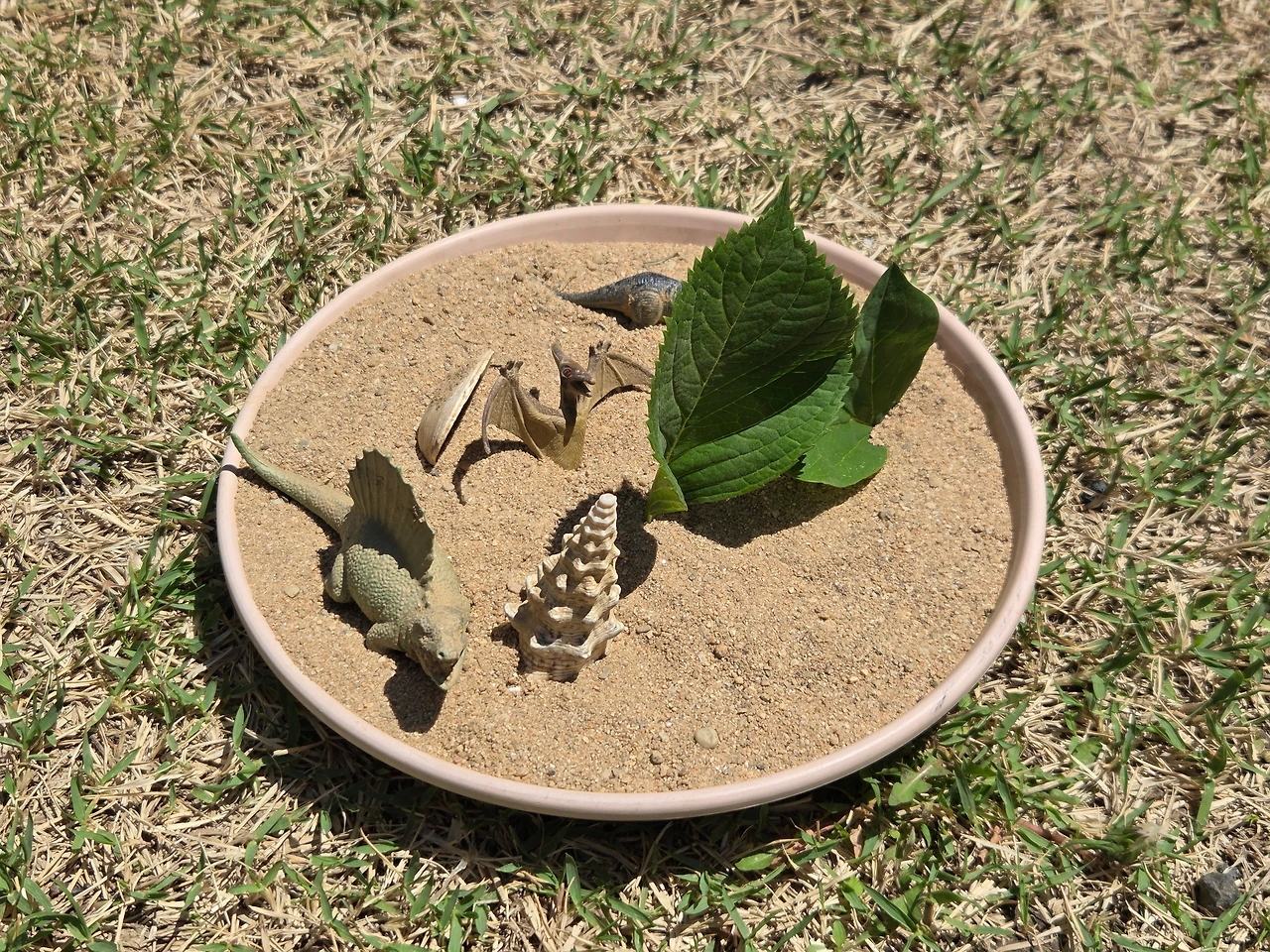 KakaoTalk_Photo_2025-05-03-09-30-26 002.jpeg