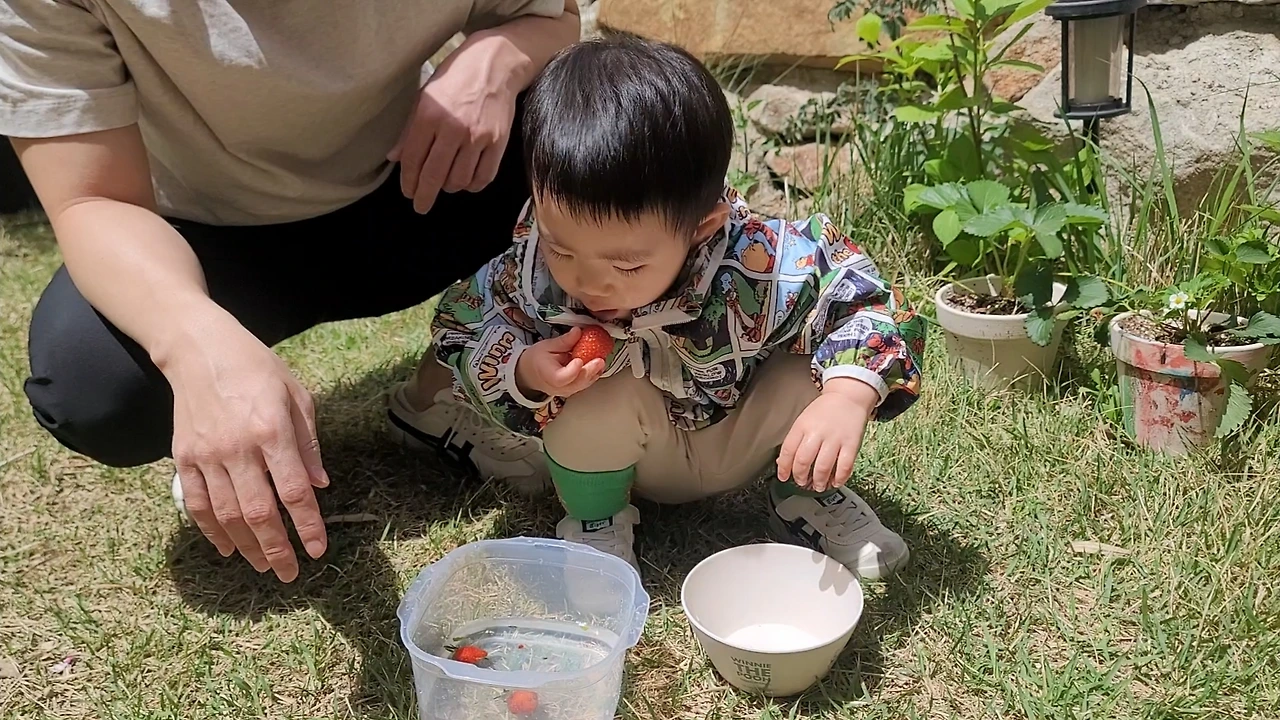 KakaoTalk_Photo_2024-10-29-10-24-59 001.jpeg