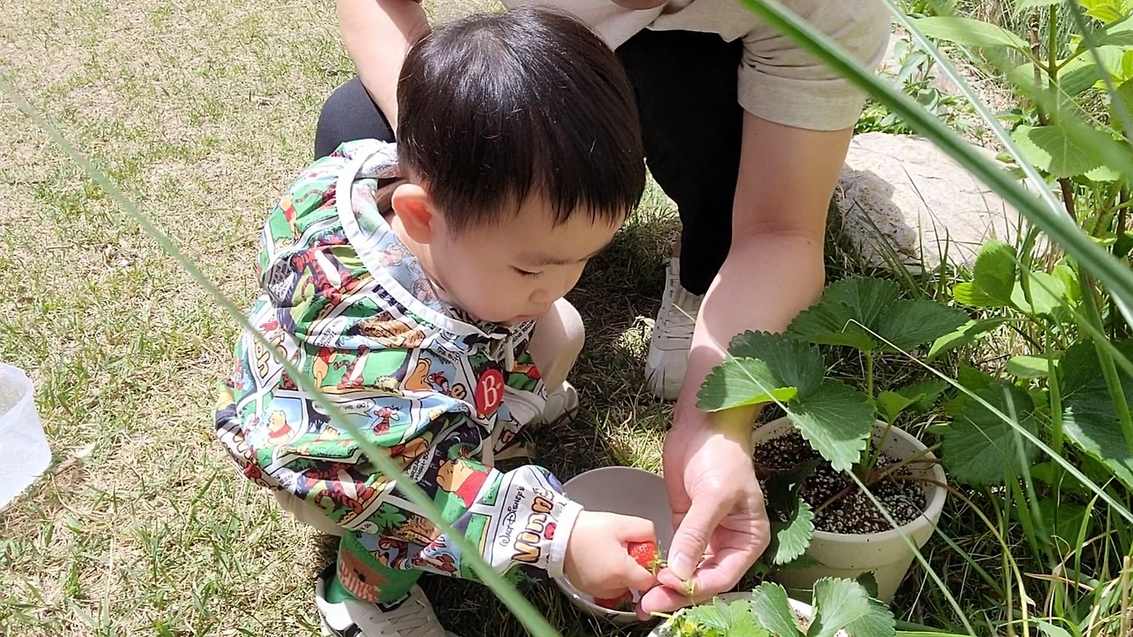 KakaoTalk_Photo_2024-10-29-10-25-03 003.jpeg