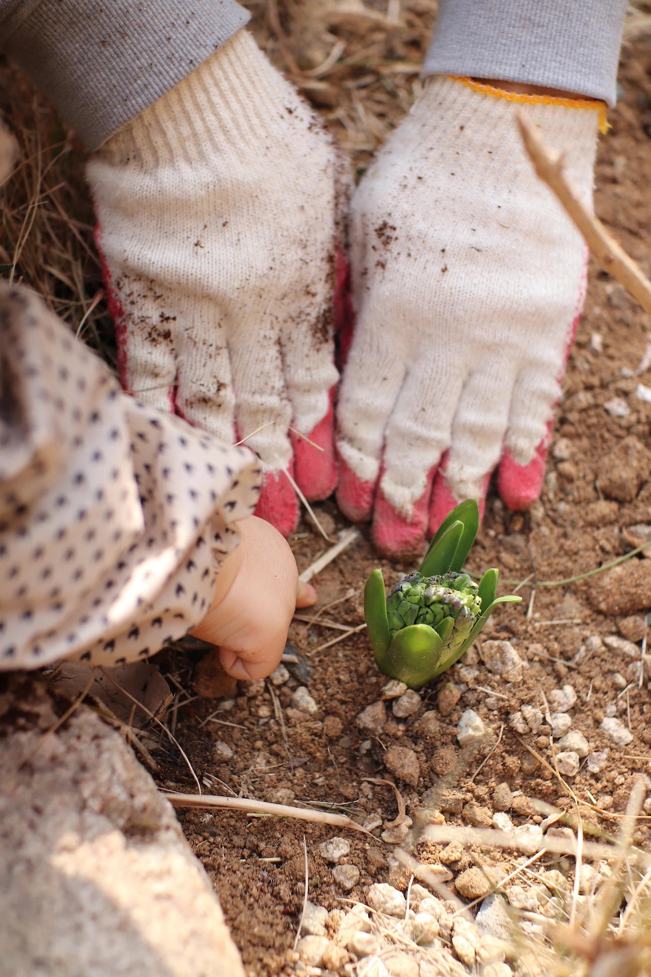 KakaoTalk_Photo_2024-10-29-10-25-14 001.jpeg