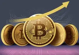 images?q=tbn:ANd9GcRd-OWv7Hpw2T_TQ5Q5qhmOzetMICArFs97Ag&usqp=CAU