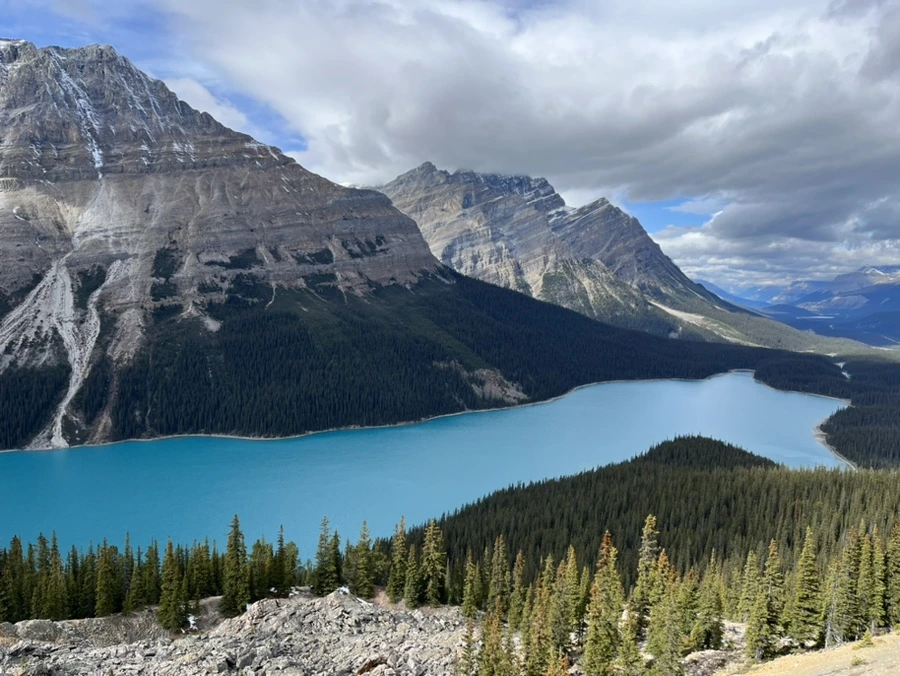 IMG_3560.jpg?type=w966