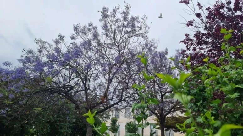 20230513%EF%BC%BF172726.jpg?type=w773