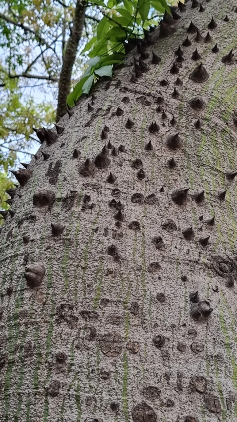 20230513%EF%BC%BF195909.jpg?type=w773