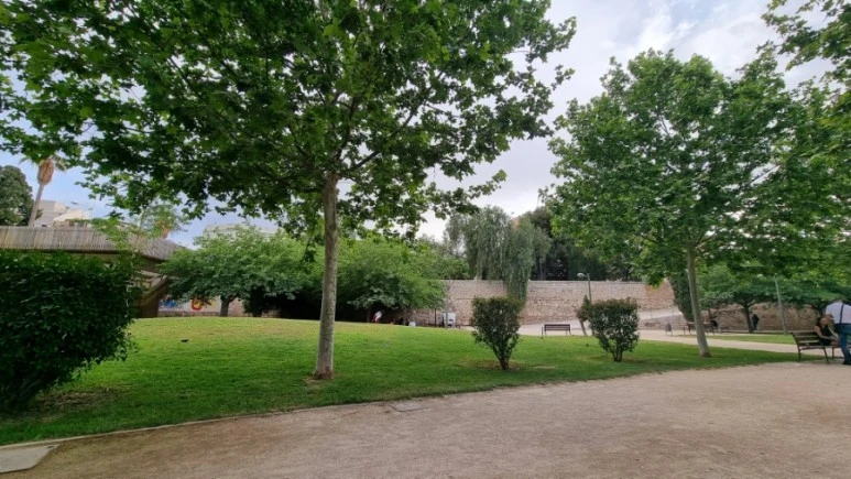 20230513%EF%BC%BF193908.jpg?type=w773