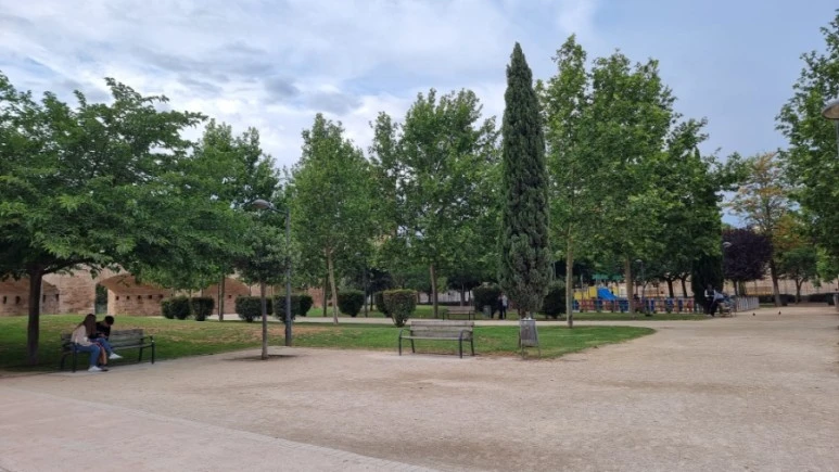 20230513%EF%BC%BF193541.jpg?type=w773