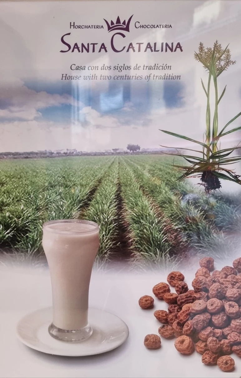 20230513%EF%BC%BF184147.jpg?type=w773