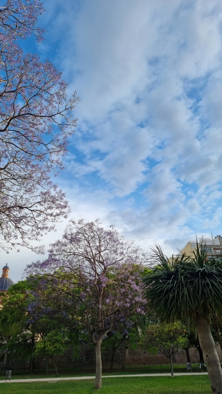 20230513%EF%BC%BF194849.jpg?type=w773