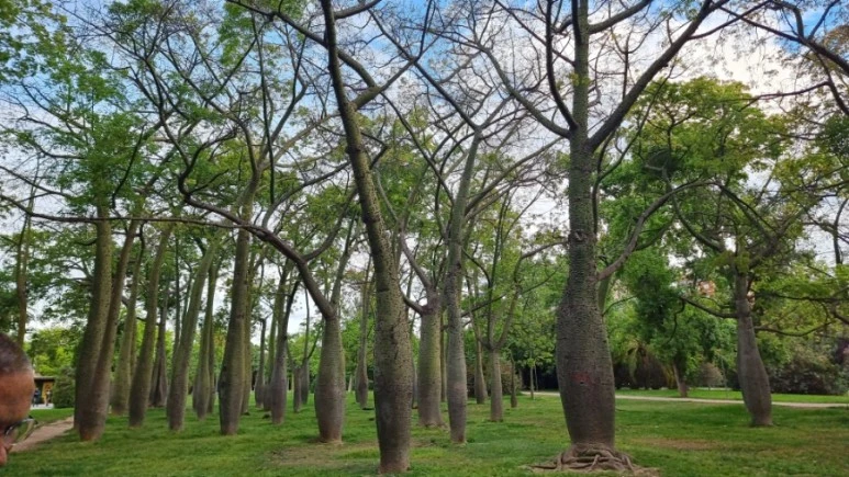 20230513%EF%BC%BF200244.jpg?type=w773