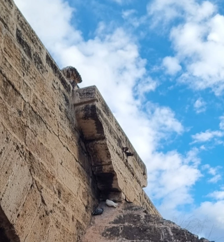 20230513%EF%BC%BF195729.jpg?type=w773